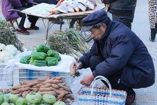卖菜的视频,卖菜摊位的热闹日常