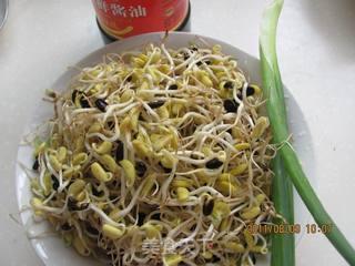 黑豆芽视频,揭秘营养与美味的双重盛宴