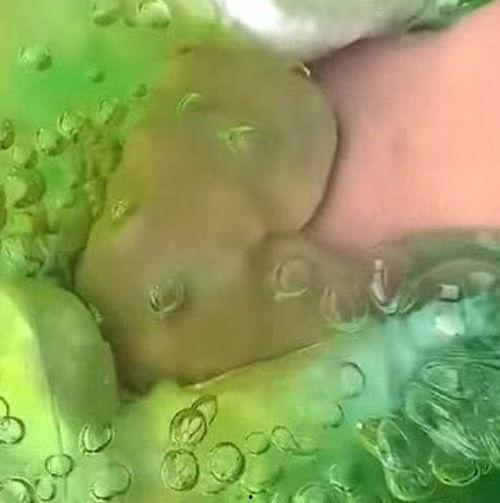 假海苔视频,视频揭示食品造假黑幕